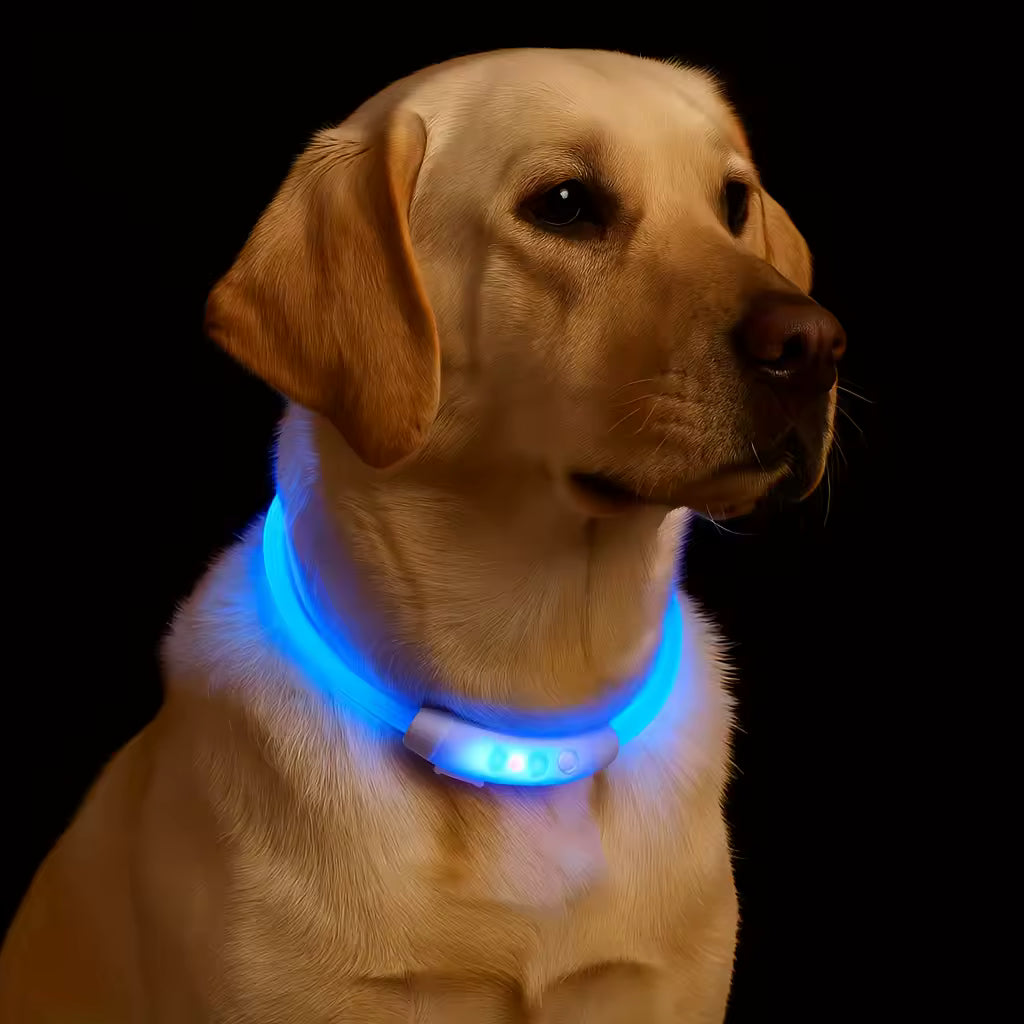 New LED Dog Collar USB Rechargeable£¬3 Mode Adjustable Glowing Dog Collar for Night Walking£¬Safe Reflective Pet Collar